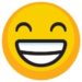 Grin emoji next to success story testimonial