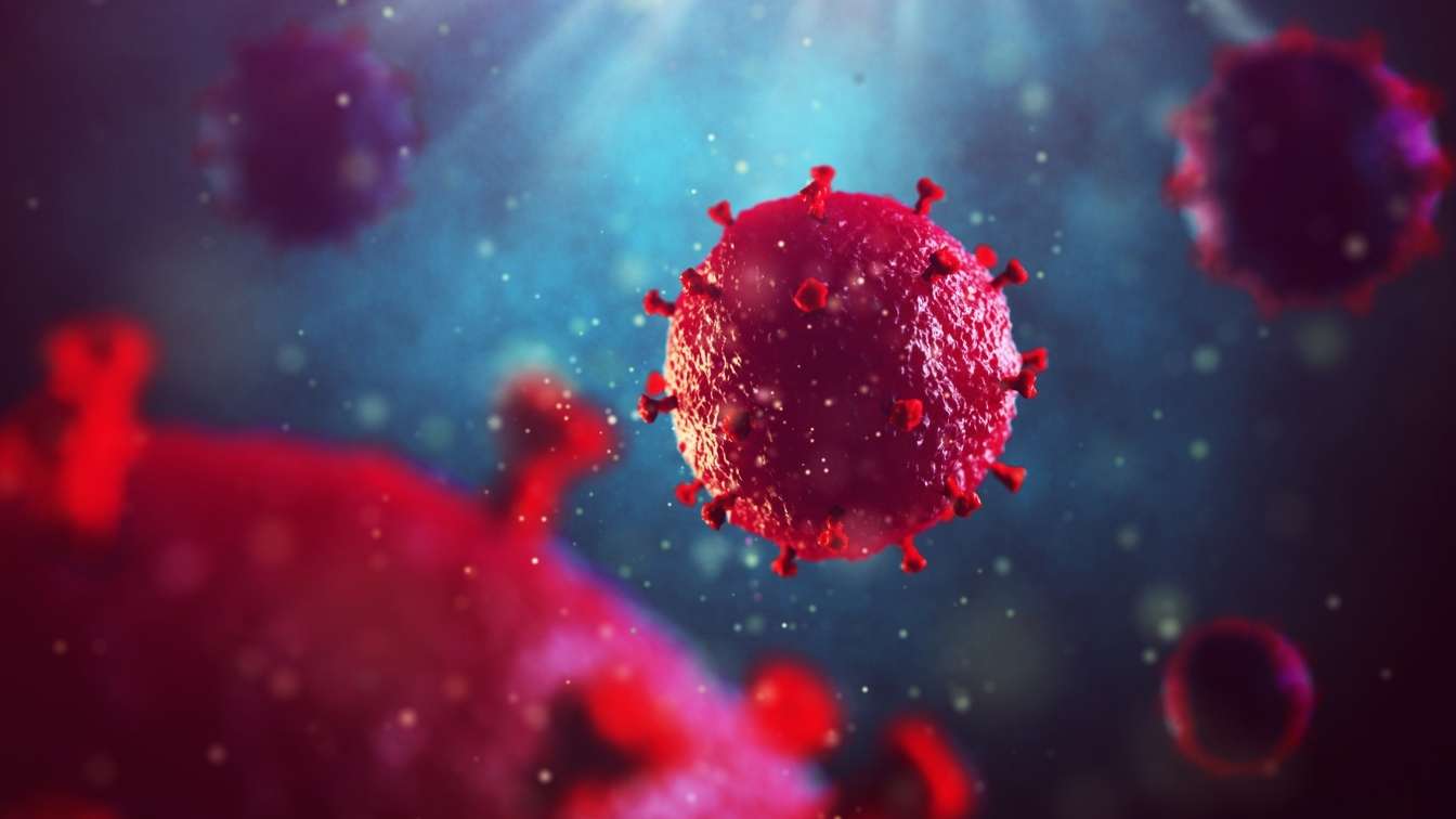 Virus